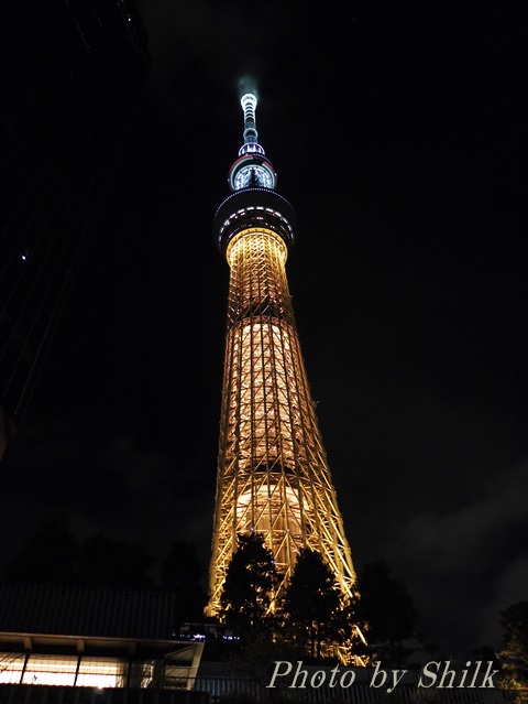 skytree-gold
