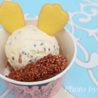 チョコナッツバニラアイス&チョコレートクランチ