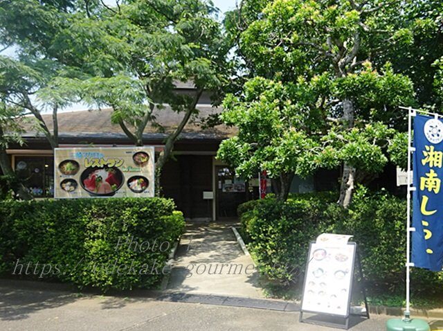 油壺マリンパーク・三崎マグロのレストラン